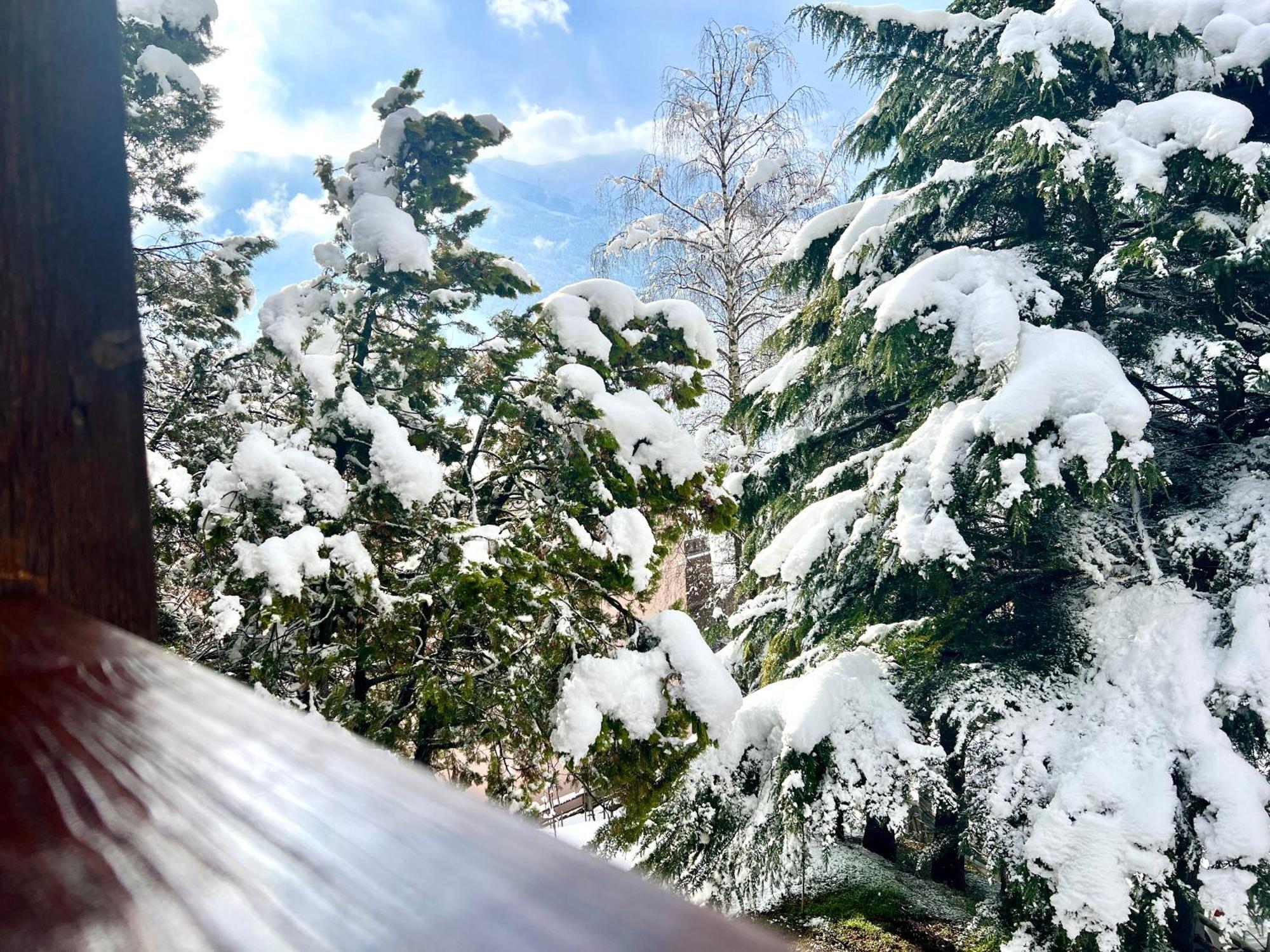 Chalet Bormio Terme Екстер'єр фото